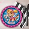 8 Ct. Pink Paw Patrol Paper Dessert Plates 7" Skye Party Plates for Kid's Celebrations